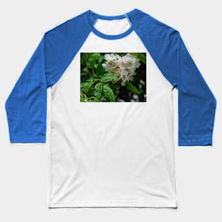 Raindrops on roses Baseball T-Shirt